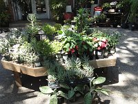 DSC08061