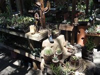 DSC08066