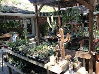 DSC08067