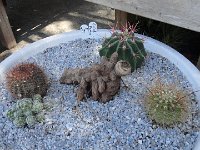 DSC08069