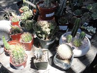DSC08070