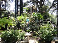 DSC08076