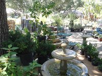 DSC08078