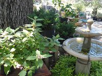 DSC08079