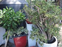 DSC08080