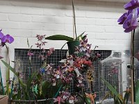 DSC08083