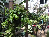 DSC08095