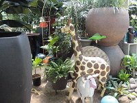 DSC08098