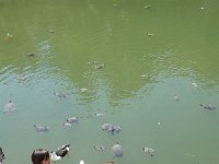 DSC08109