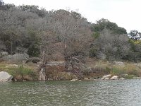 DSC08186