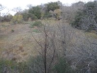 DSC08187