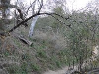 DSC08188