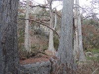 DSC08190