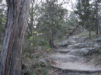 DSC08197