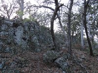 DSC08199