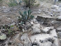DSC08200