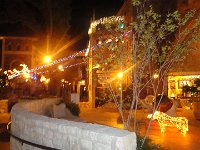 DSC08259