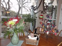 DSC08364