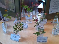 IMG 20121110 135209