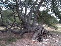 IMG 20121110 142327