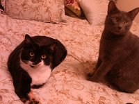IMG 20121113 204917