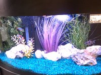 IMG 20121219 072014