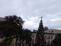 IMG 20121229 150617