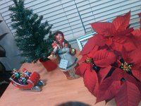 IMG 20121207 182733