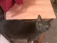 IMG 20121207 182750