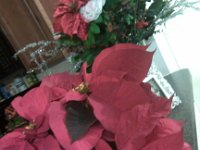 IMG 20121207 182818