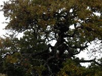 IMG 0885