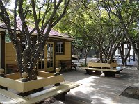 DSC03803