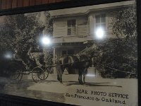 DSC03816