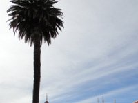 DSC03836
