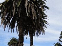 DSC03838