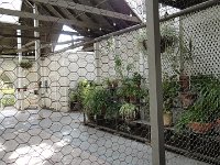 DSC03852