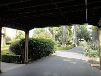 DSC03854
