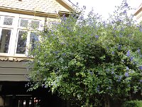 DSC03862