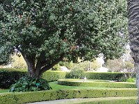 DSC03866
