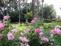 DSC03875
