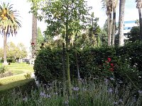 DSC03907