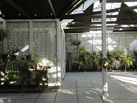 DSC03911