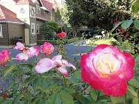 DSC03927