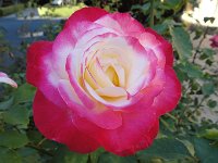 DSC03930