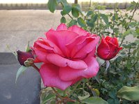 DSC03931