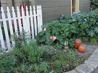 DSC03936