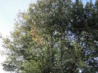 DSC03937