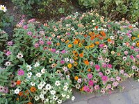 DSC03945