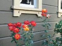 DSC03950
