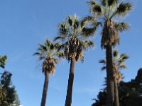 DSC03951